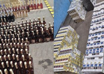 В Молдове и Италии раскрыта сеть контрабанды сигарет и алкоголя