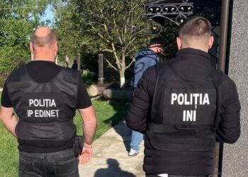 Обыски в Единецком, Окницком и Дондюшанском районах по делу о незаконной вырубке леса