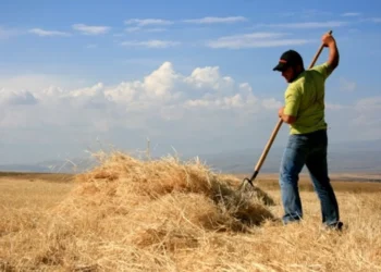 Blocaj în agricultură. Fermierii reclamă eșecul restituirii TVA