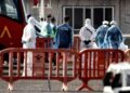 A început evacuarea pasagerilor de pe nava MV Hondius afectată de hantavirus