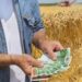 Pas recunoaște: nu sunt bani pentru subvenții la hectar pentru fermieri