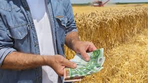 Pas recunoaște: nu sunt bani pentru subvenții la hectar pentru fermieri