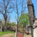 Stâlpi putrezi și pericol la fiecare pas: Localnicii din Băcșeni se tem de o tragedie
