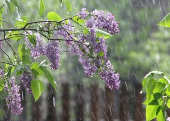 Prognoza meteo pentru 10 mai