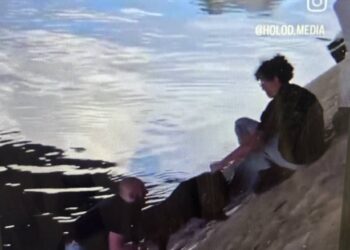 В Париже прохожие толпой спасли собаку, упавшую в Сену