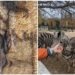 Reguli noi pentru grădinile zoologice din Republica Moldova