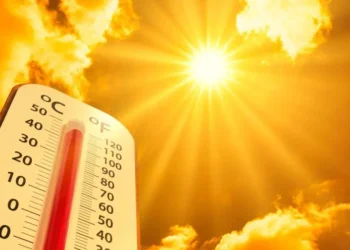 Во вторник в Молдове объявлен красный код жары: до +41°C на юге страны