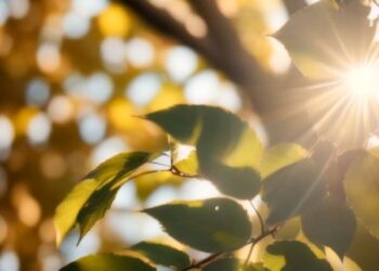 Прогноз погоды на 22 июня: жёлтый код жары и до +35°C