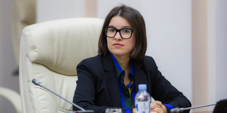 Delegația UE, despre activitatea Anastasiei Taburceanu, plătită din bani europeni