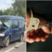 Трагедию удалось предотвратить в последний момент: 12-летний ребёнок едва не утонул в озере в парке «Рышкань» в Кишинёве