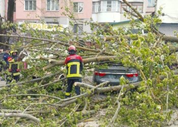 Спасатели устраняли последствия непогоды: в Кишинёве деревья падали на автомобили, а в Тараклийском районе застряла скорая помощь