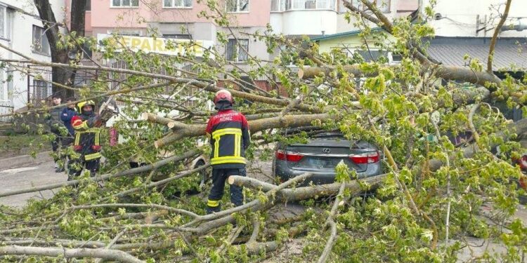 Спасатели устраняли последствия непогоды: в Кишинёве деревья падали на автомобили, а в Тараклийском районе застряла скорая помощь