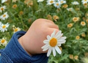 Прогноз погоды на 11 июня: до +32°C и кратковременные дожди