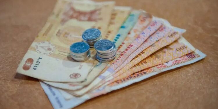 Налог на вывоз мусора изменится с 2026 года: что нужно знать владельцам жилья