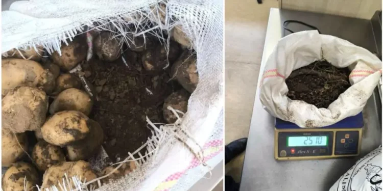 Прогноз погоды на 18 июня: кратковременные дожди и возможны грозы