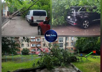 Vreme severă la Bălți: arbori doborâți și automobile avariate
