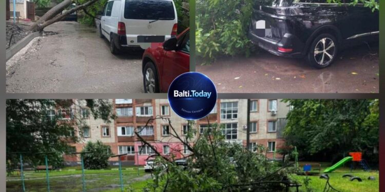 Vreme severă la Bălți: arbori doborâți și automobile avariate