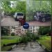 Vreme severă la Bălți: arbori doborâți și automobile avariate