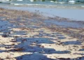 Dezastrul de pe litoralul din Bulgaria s-ar putea extinde și spre România: Tone de păcură au ajuns pe plaje și Marea Neagră este plină de reziduuri petroliere