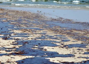 Dezastrul de pe litoralul din Bulgaria s-ar putea extinde și spre România: Tone de păcură au ajuns pe plaje și Marea Neagră este plină de reziduuri petroliere