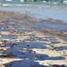 Dezastrul de pe litoralul din Bulgaria s-ar putea extinde și spre România: Tone de păcură au ajuns pe plaje și Marea Neagră este plină de reziduuri petroliere
