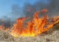 Трагедии из-за пожаров сухой растительности: один человек погиб, другой находится в реанимации